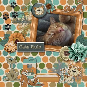 Cats Rule