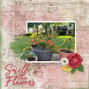 Smell the Flowers