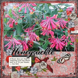 Honeysuckle