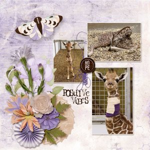 gs-jbs-zoo-hope-1