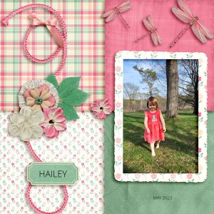 HAILEY - UIT INSD 2023