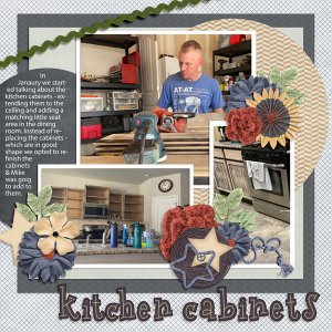Kitchen Cabinets