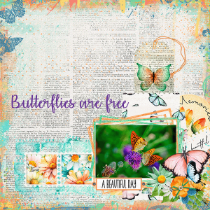Butterflies Are Free