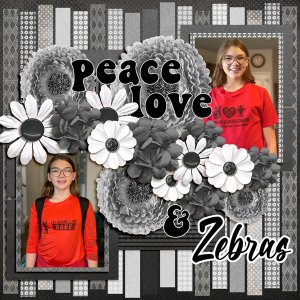 Peace Love + Zebras