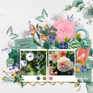 flowers54