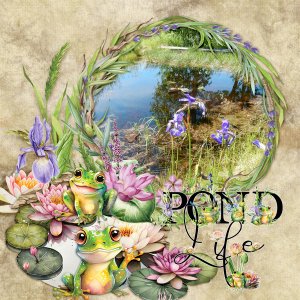Pond-life2