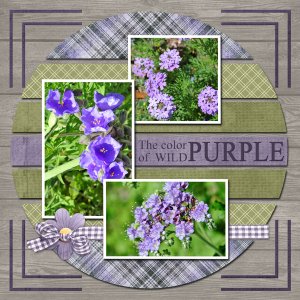 The color of WILD: PURPLE