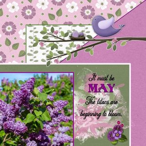 May 2023 Designer Spotlight Challenge