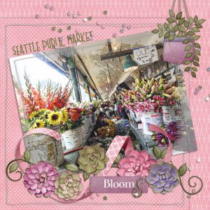 Blooms