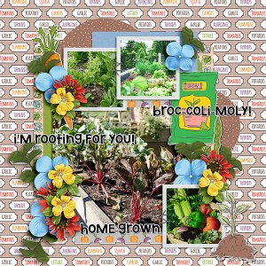 My Veggie Garden