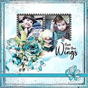Never Hide Your Wings