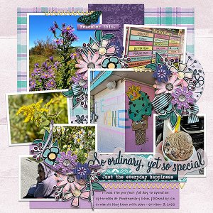 celebrate the ordinary