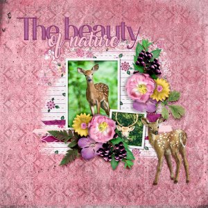 The-beauty-of-nature1
