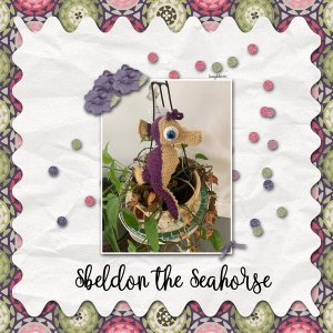 Sheldon the Seahorse