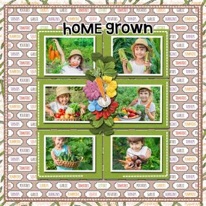 my-veggie-patch-memory-mosi