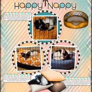 Happy Pappy Nappy