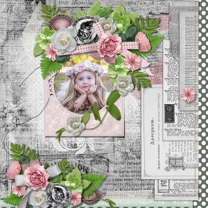 Bibliophile by ADB Designs