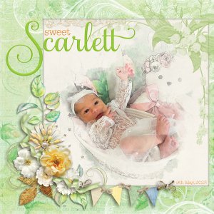 Sweet Scarlett