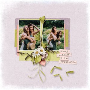 friends are flowers in the garden of life