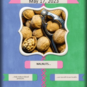 ATC 2023-012 National Walnut Day
