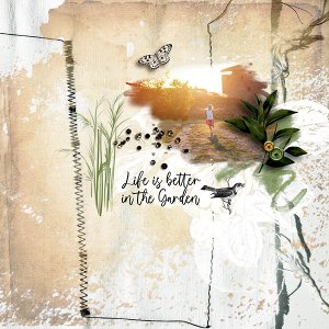 Life is a garden