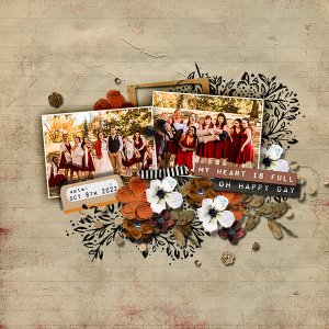 The Wedding Party
