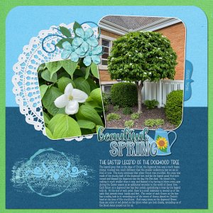 McCoy Dogwood