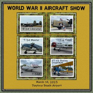 World War II Aircraft Show
