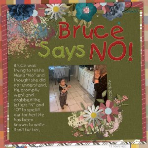 Bruce Says No