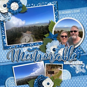 Clingmans Dome in TN