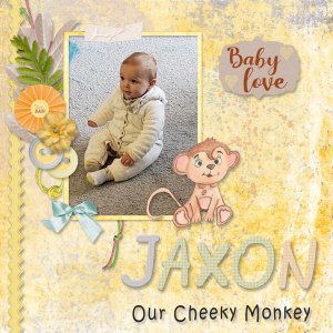 Cheeky Monkey