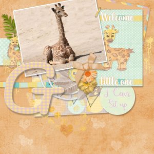Giraffe
