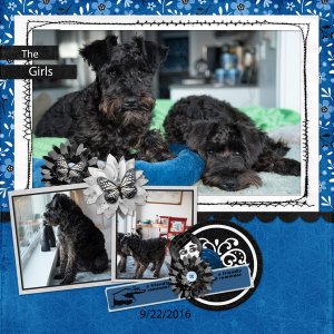 kit Paint Chip Cobalt Blue By Designs by Connie Prince