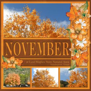 November at Lost Maples State Natural Area