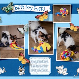Best Toy Ever!