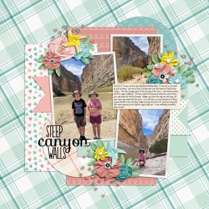 Steep Canyon Walls