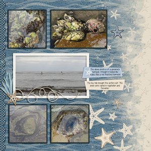 Low Tide