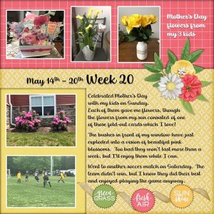 May 2023 Project 365 Challenge - Week 20
