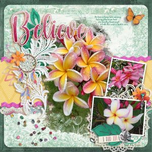 Plumeria Season at Last