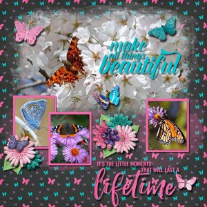 Butterflies