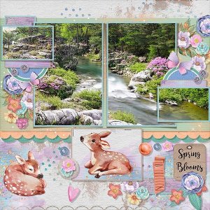 Spring Blooms