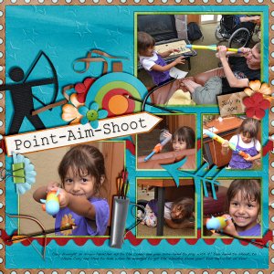 Point Aim Shoot