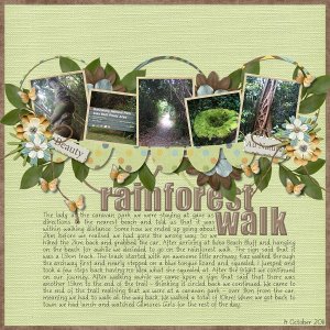 Rainforest Walk