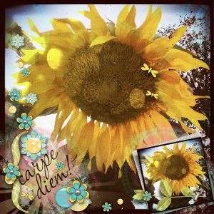 Aug Insp Challenge