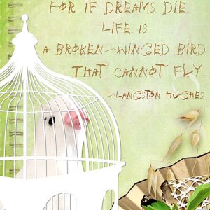 114-08-12-DreamsAJC14ByCFALBRO