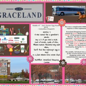 2016 #7 Graceland Shopping Center