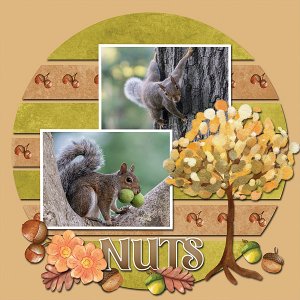 Nuts