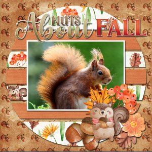 Nuts for Squirrels