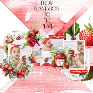 From Plantation To The Plate