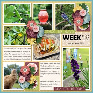 Project Life - Week 18